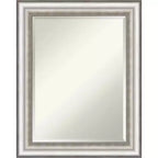 23" x 29" Salon Framed Wall Mirror Silver - Amanti Art: Modern Rectangle, Beveled, No Assembly Required
