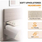 Cadre de lit rembourré VINGLI avec tête de lit réglable en bouclette, lit plateforme confortable à profil bas avec lattes en bois, crème, silencieux, beige