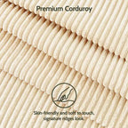 Dyonery Petit canapé 50 places pour salon, chambre, bureau, canapé confortable avec coussin à ressorts à assise profonde