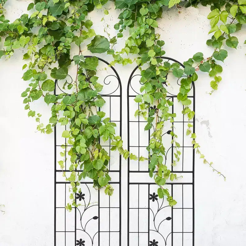 MAYEERTY Lot de 2 treillis de jardin en métal de 180 x 50 cm – Antirouille, noir, pour plantes grimpantes et fleurs d'extérieur