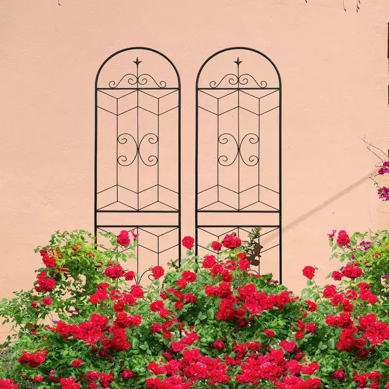 MAYEERTY Lot de 2 treillis de jardin en métal, 220 x 50 cm, antirouille, pour plantes grimpantes, fleurs d'extérieur, noir