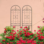 MAYEERTY Lot de 2 treillis de jardin en métal, 220 x 50 cm, antirouille, pour plantes grimpantes, fleurs d'extérieur, noir
