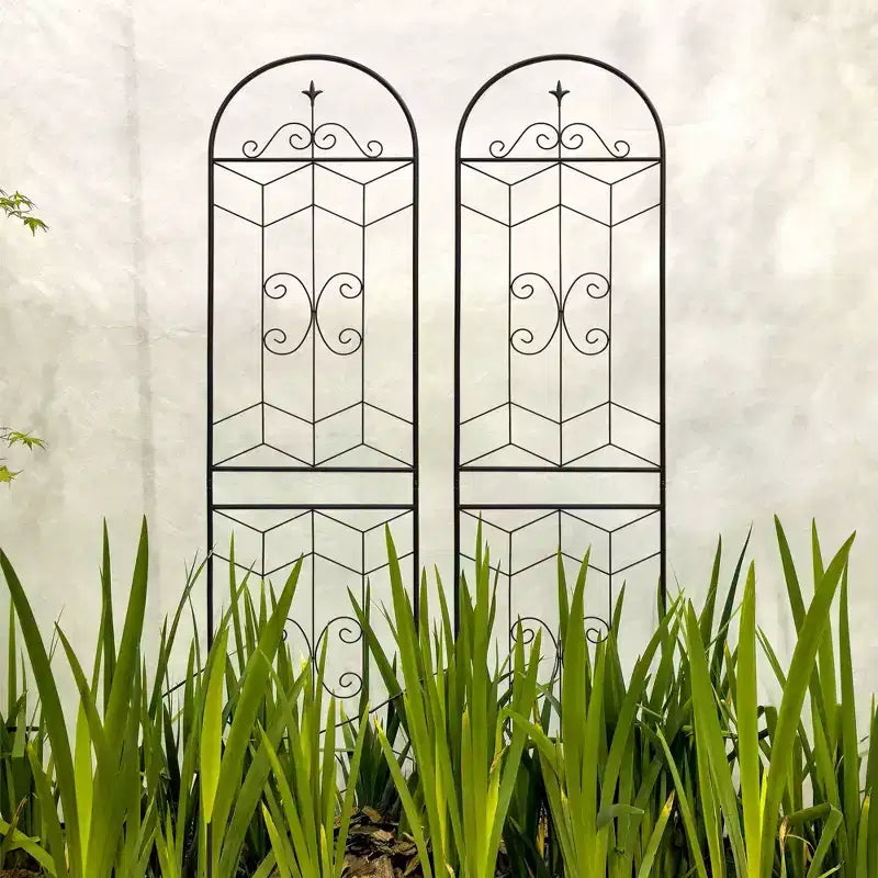 MAYEERTY Lot de 2 treillis de jardin en métal, 220 x 50 cm, antirouille, pour plantes grimpantes, fleurs d'extérieur, noir
