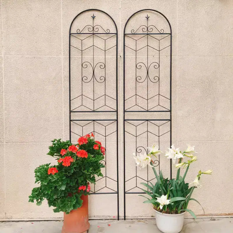 MAYEERTY Lot de 2 treillis de jardin en métal, 220 x 50 cm, antirouille, pour plantes grimpantes, fleurs d'extérieur, noir