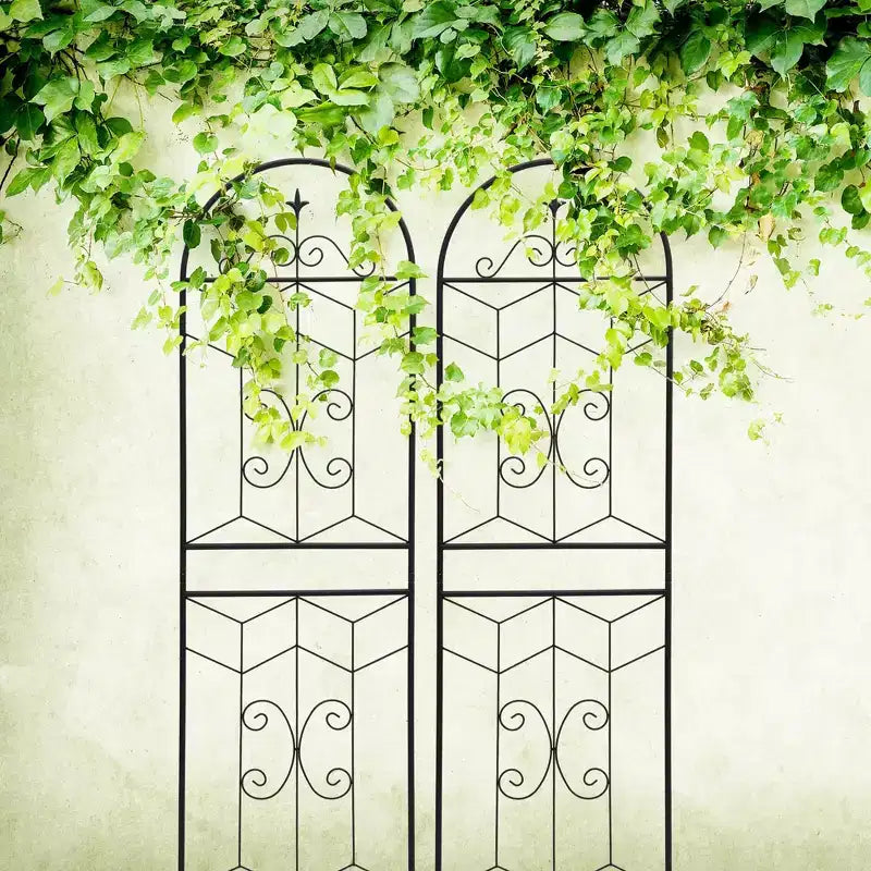MAYEERTY Lot de 2 treillis de jardin en métal, 220 x 50 cm, antirouille, pour plantes grimpantes, fleurs d'extérieur, noir