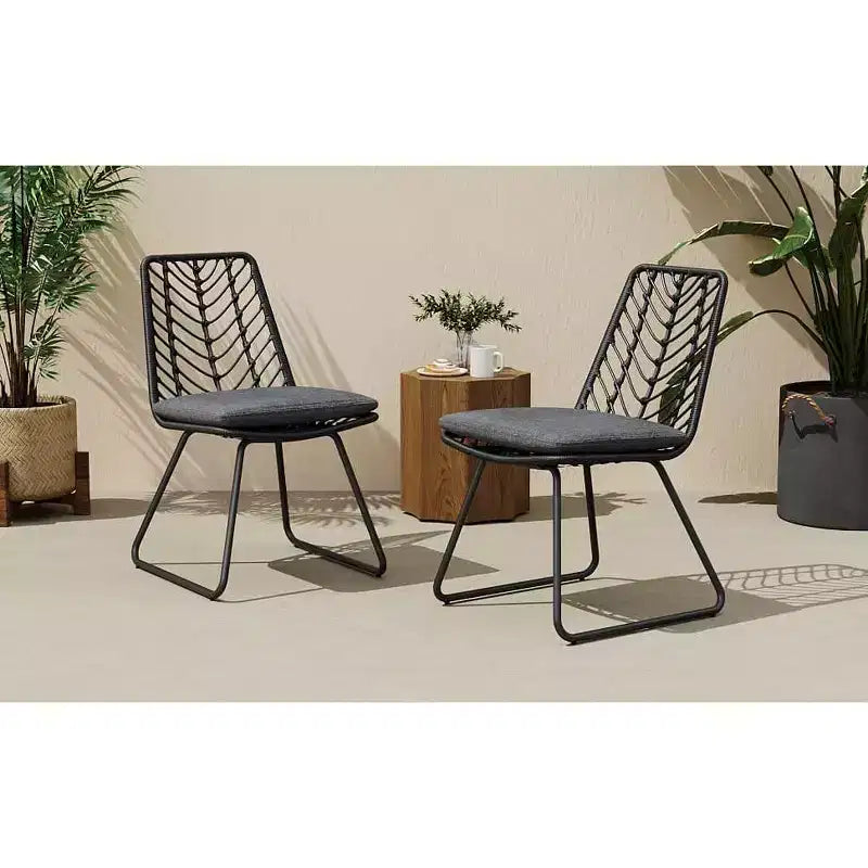 MAYEERTY Lot de 2 Chaises Avec 2 Coussins Gris Assise Confortable pour Salon Salle à Manger