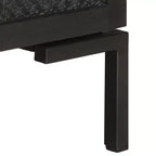 Meuble TV vidaXL en bois massif avec deux étagères et portes, cadre en acier enduit de poudre, finition noire, style industriel, taille : 45,3x11,8x18,1