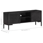 Meuble TV vidaXL en bois massif avec deux étagères et portes, cadre en acier enduit de poudre, finition noire, style industriel, taille : 45,3x11,8x18,1