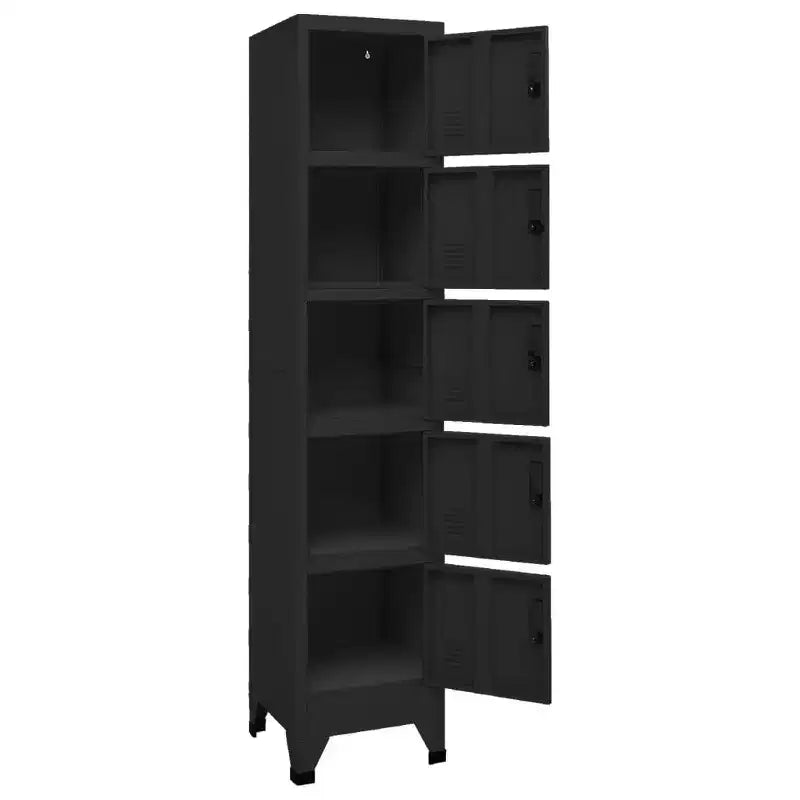 vidaXL Armoire de Vestiaire en Acier - Moderne, Verrouillable, Ventilée, avec 5 Compartiments et Porte-Étiquettes - Noir