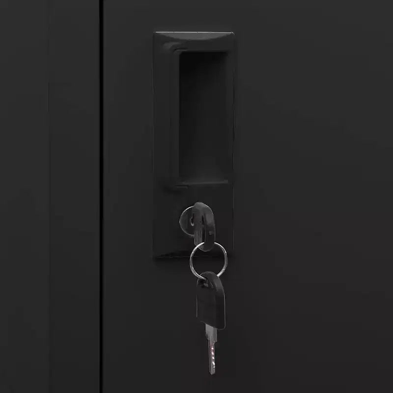 vidaXL Casier en Acier Noir Armoire de Rangement Rectangulaire Moderne