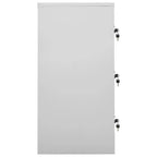 vidaXL Lot de 2 casiers d'appoint Gris clair Acier Armoire de rangement moyenne