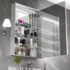 FAMYYT Armoire à pharmacie lumineuse en aluminium de 24 po L x 36 po H avec miroir, intensité variable, anti-buée, entièrement assemblée