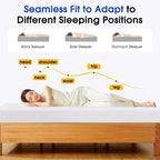 FDW Matelas en mousse à mémoire de forme au thé vert de 6 pouces avec gel rafraîchissant, sans fibre de verre, certifié CertiPUR-US, livré en boîte, blanc
